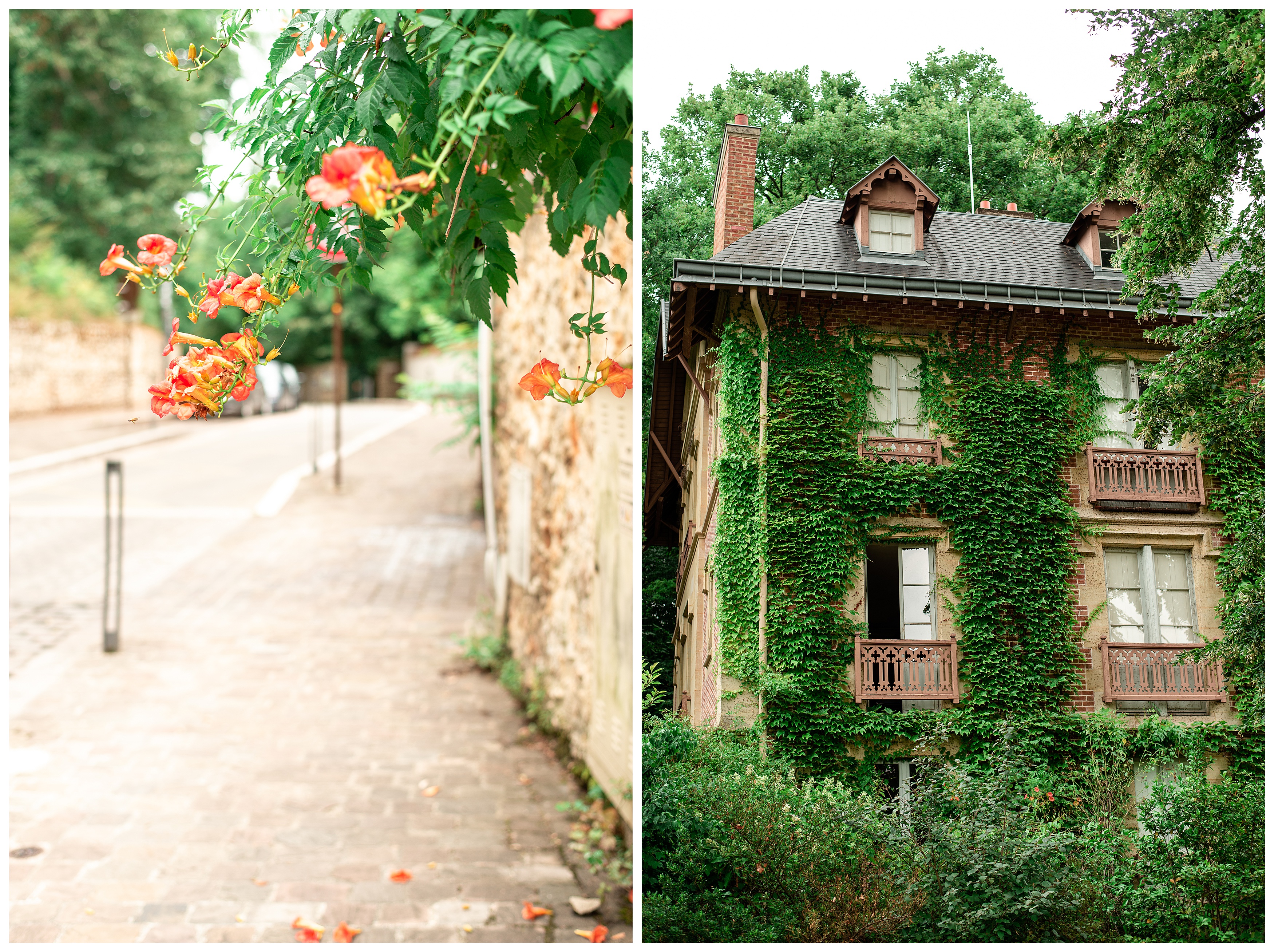 left: orange and red trumpet flowers in the town of robinson in france; right: vine and ivy-covered façade at the maison de chateaubriand