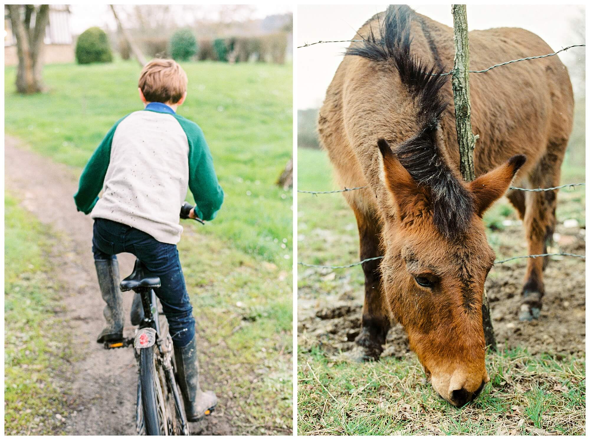 Left: A young French boy, wearing a mud-splattered sweater, careens down the unpaved path leading to the country cottage on his bicycle. Right: The neighboring donkey munches on some grass under a cloudy sky.