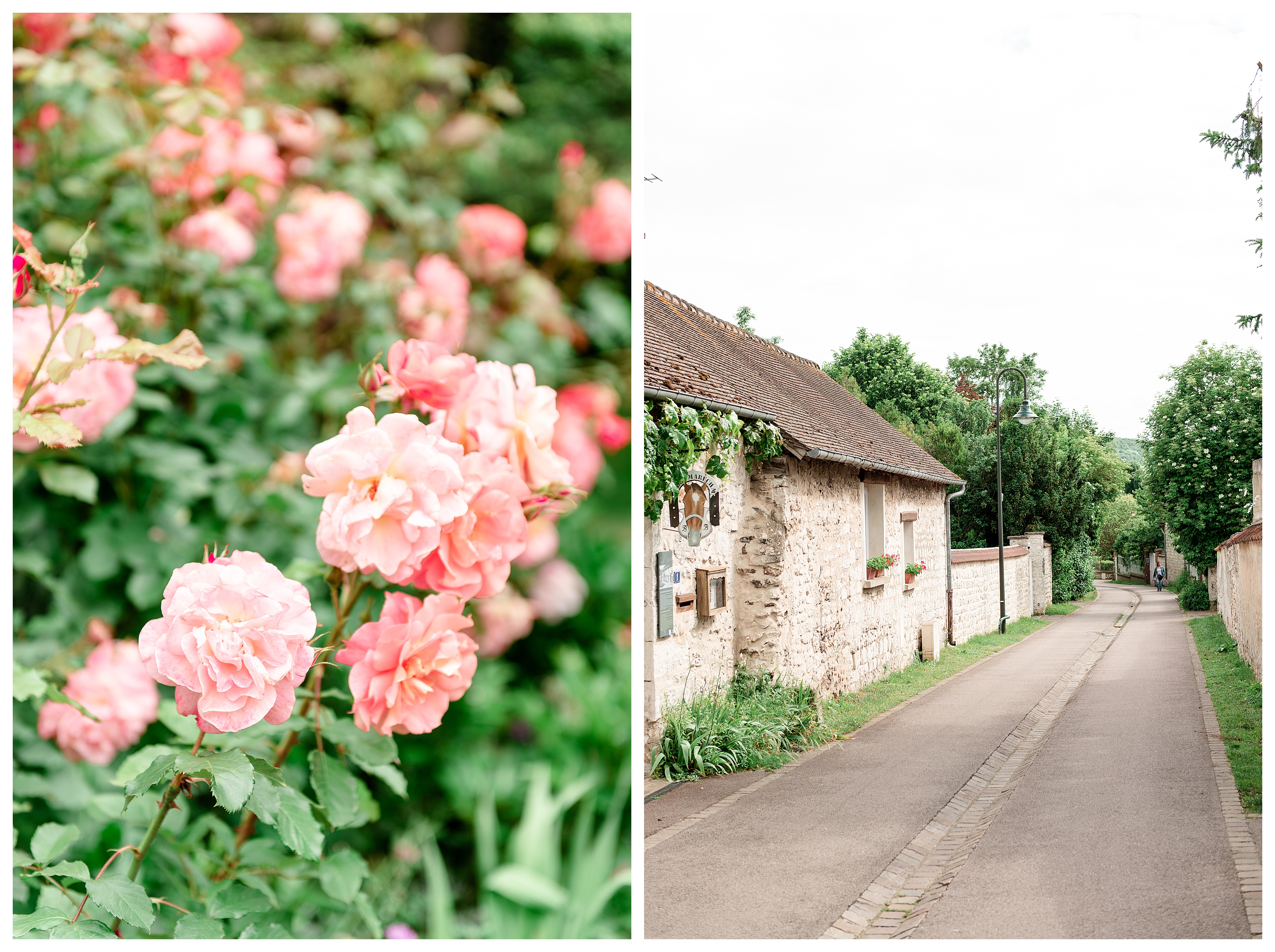 roses in monet's garden and a quite street in giverny