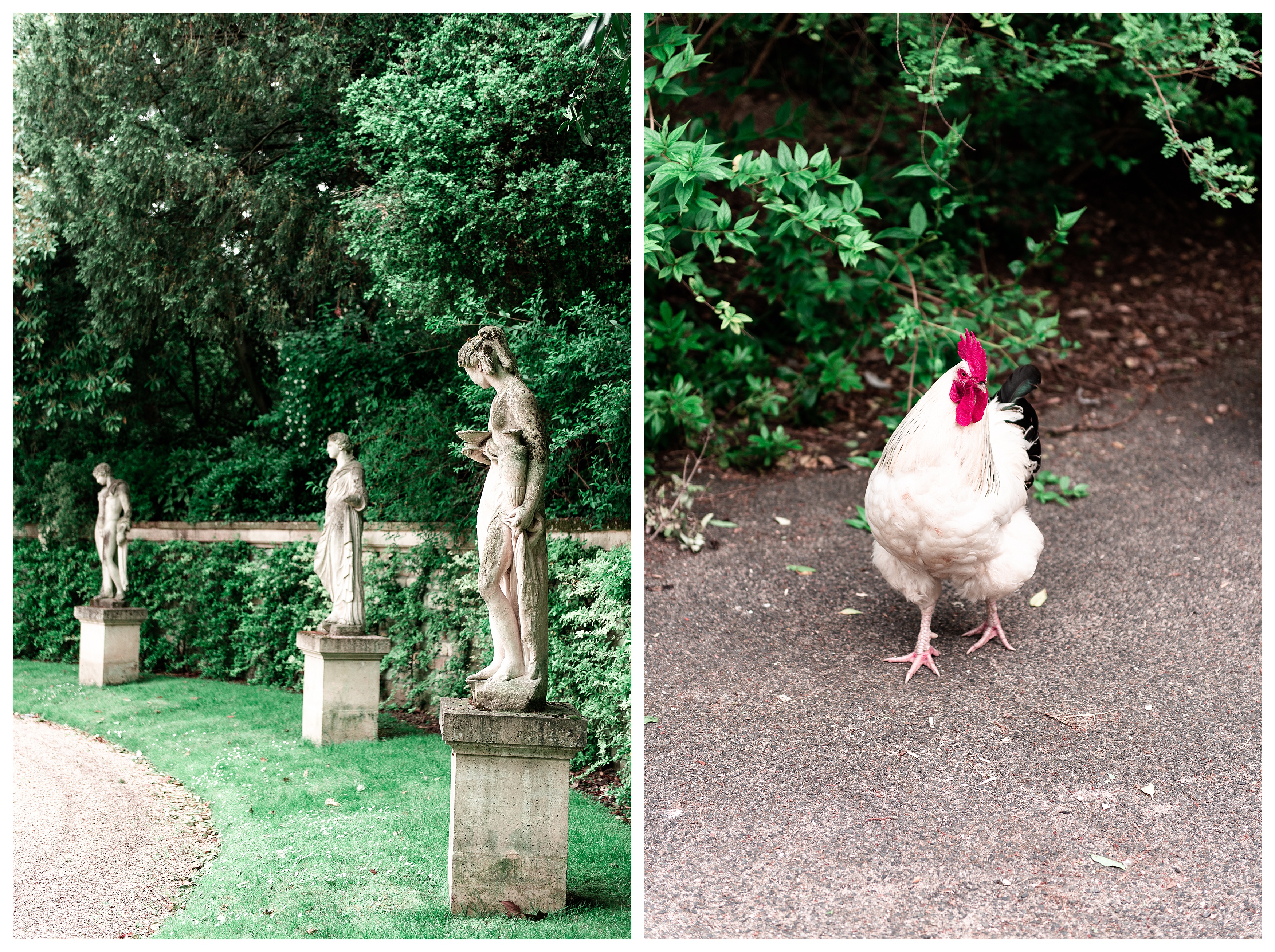 left: statues at the parc de bagatelle right: free range chicken