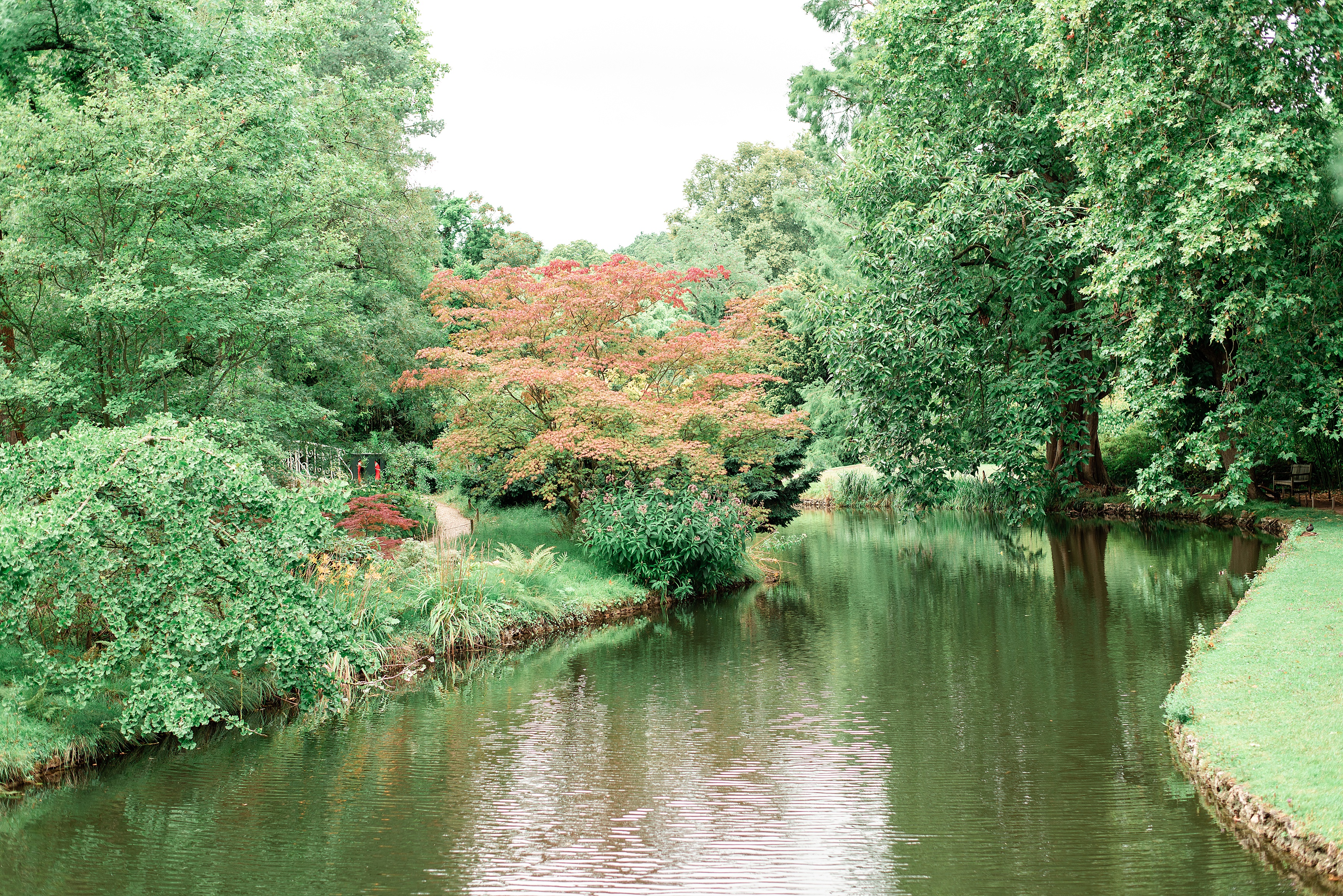 the lush arboretum and river at the maison de chateaubriand just outside of paris