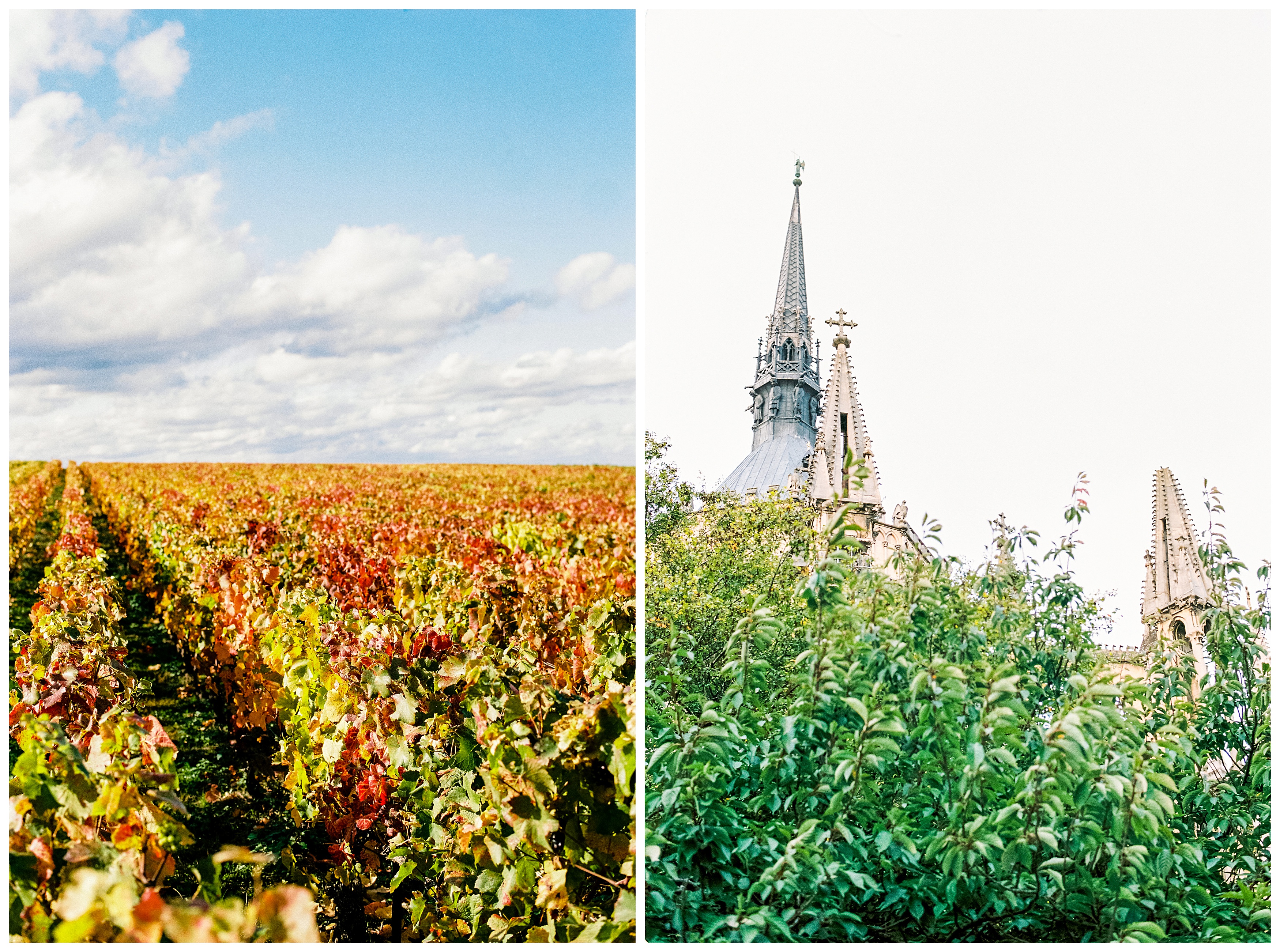 left: rows of vines in champagne right: the spires of the reims cathedral in france peeks above the trees