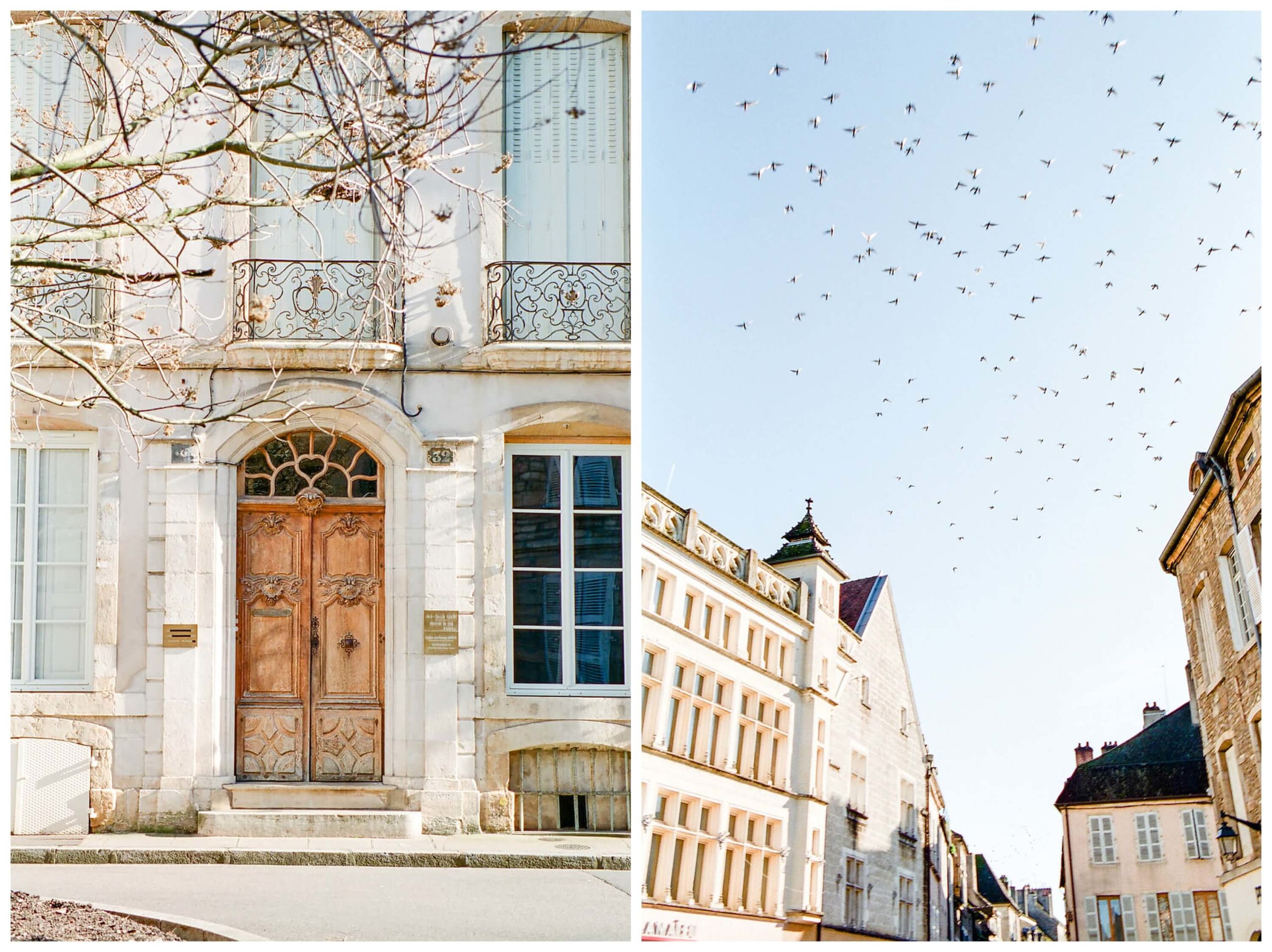 left: beautiful door in the beaune city center right: a flock of birds take flight over the rooftops of beaune, france