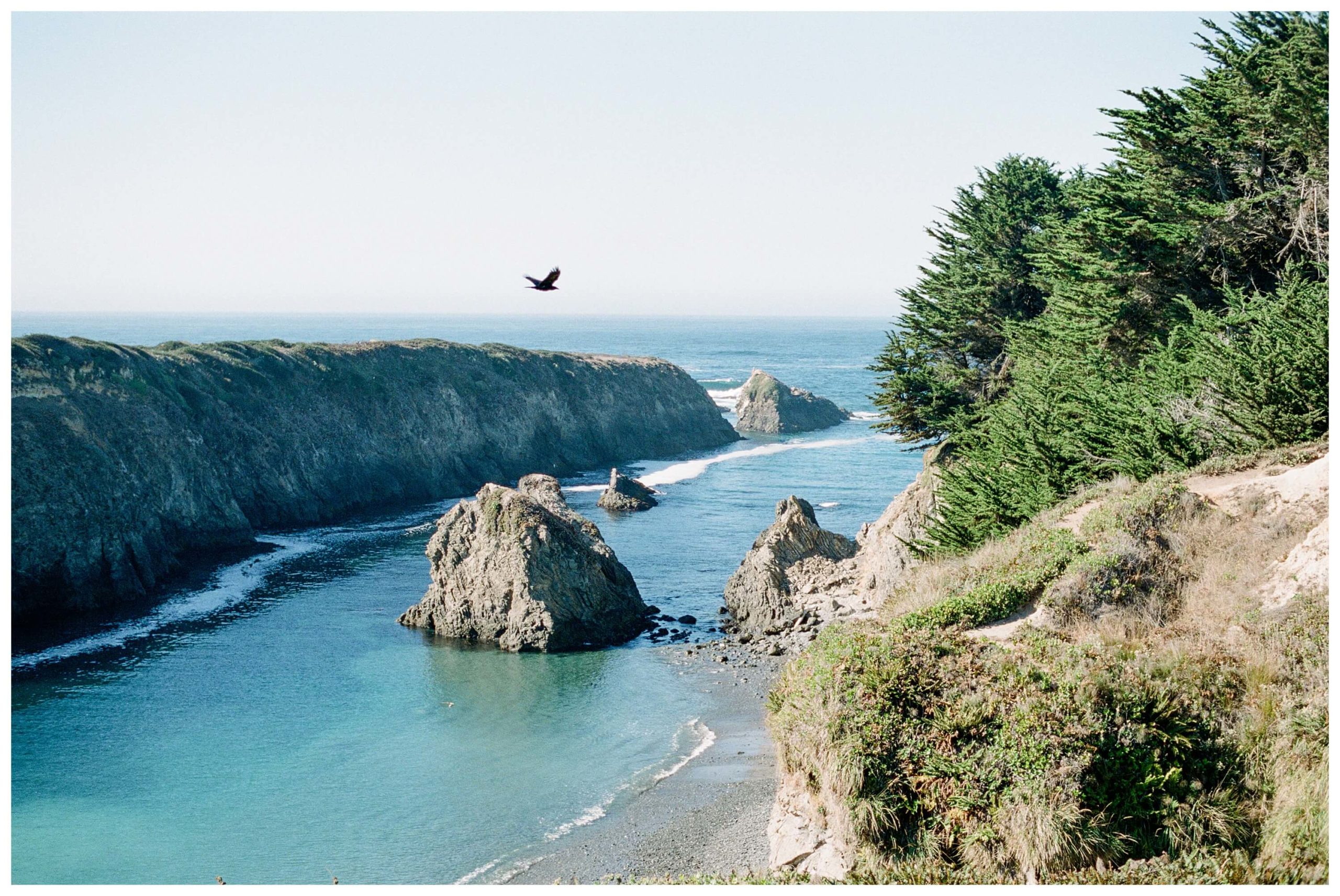 A lone black bird flies through the sky across a small inlet in the coast in Mendocino. The water is a bright turquoise in this northern California coastal town.