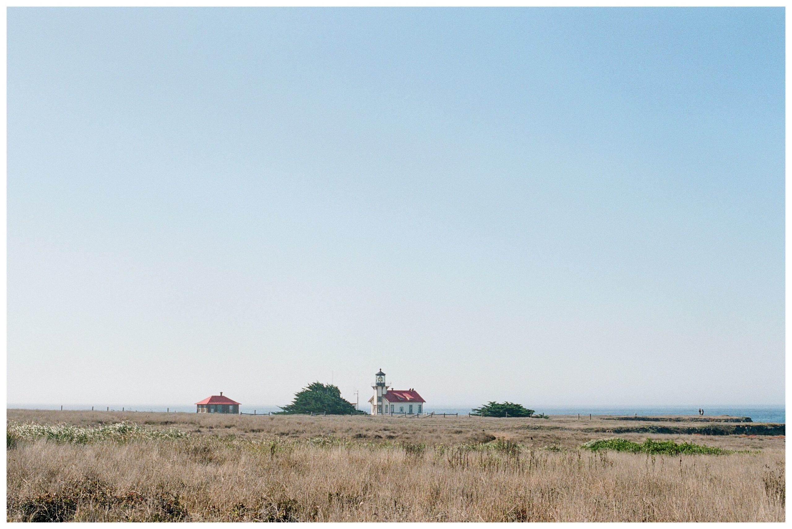The Point Cabrillo Lighthouse sits in the distance, bordered by the Pacific Ocean and alone in a vast, golden field.