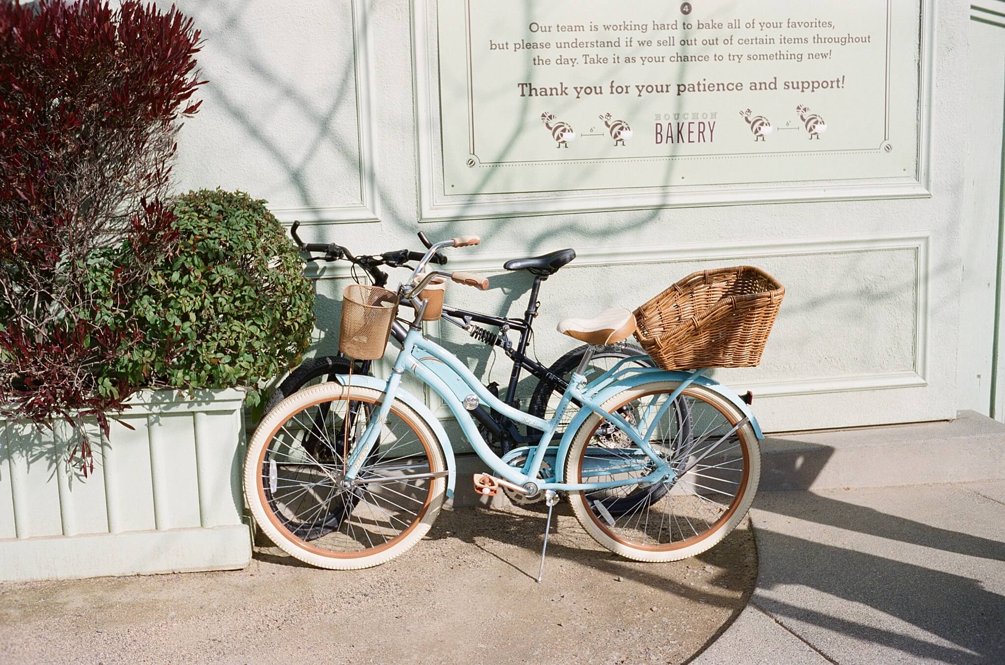 roller 35 sample image. A baby-blue old-fashioned bicycle with wide handle bars and a wooden basket stands propped up in front of a pale green wall next to a topiary. The sun shines, casting shadows behind the bike.