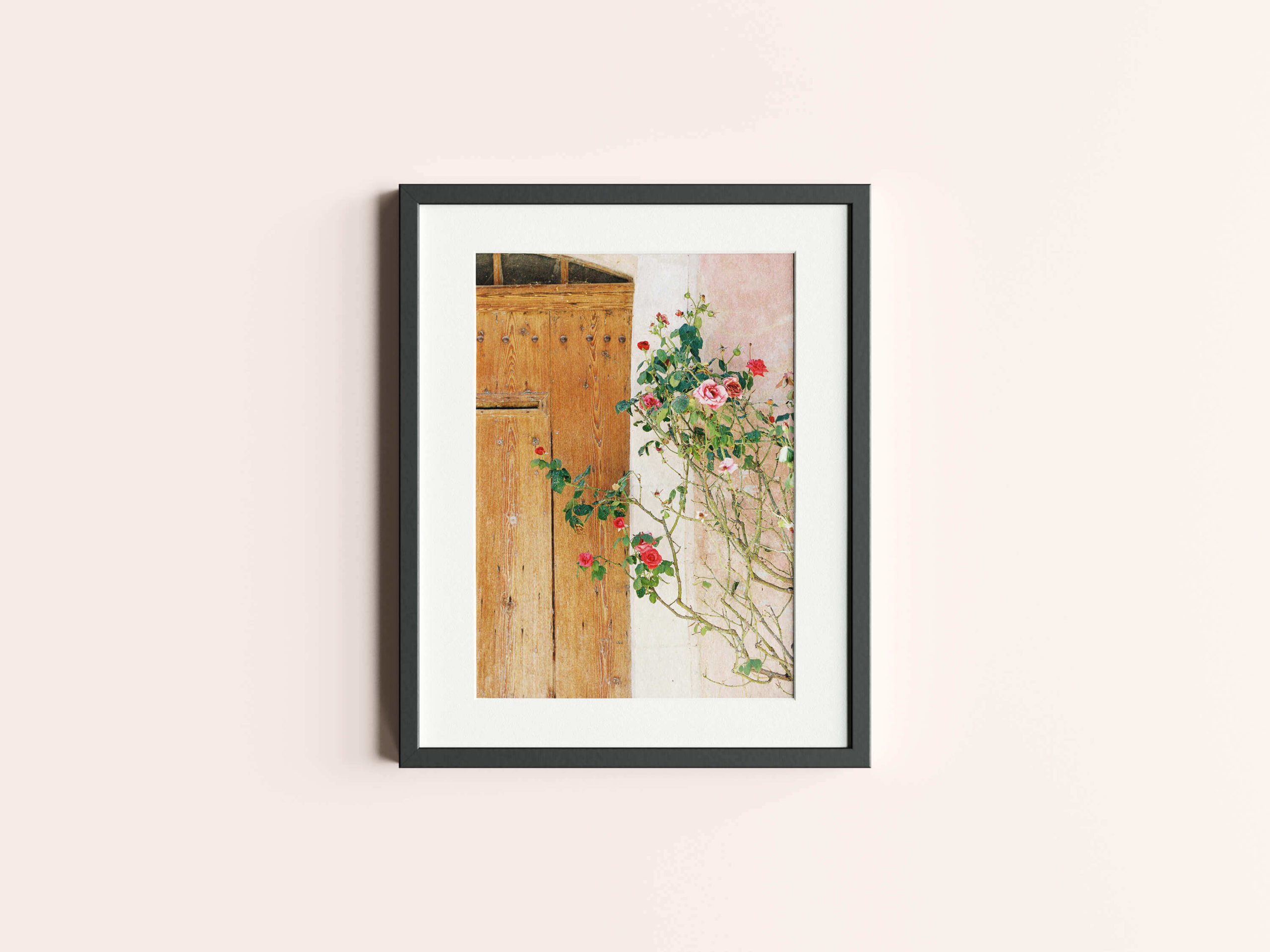 Against a blush pink wall, a thin black frame encases a photograph of a brown French door against which a cluster of pink roses bloom in Provence.