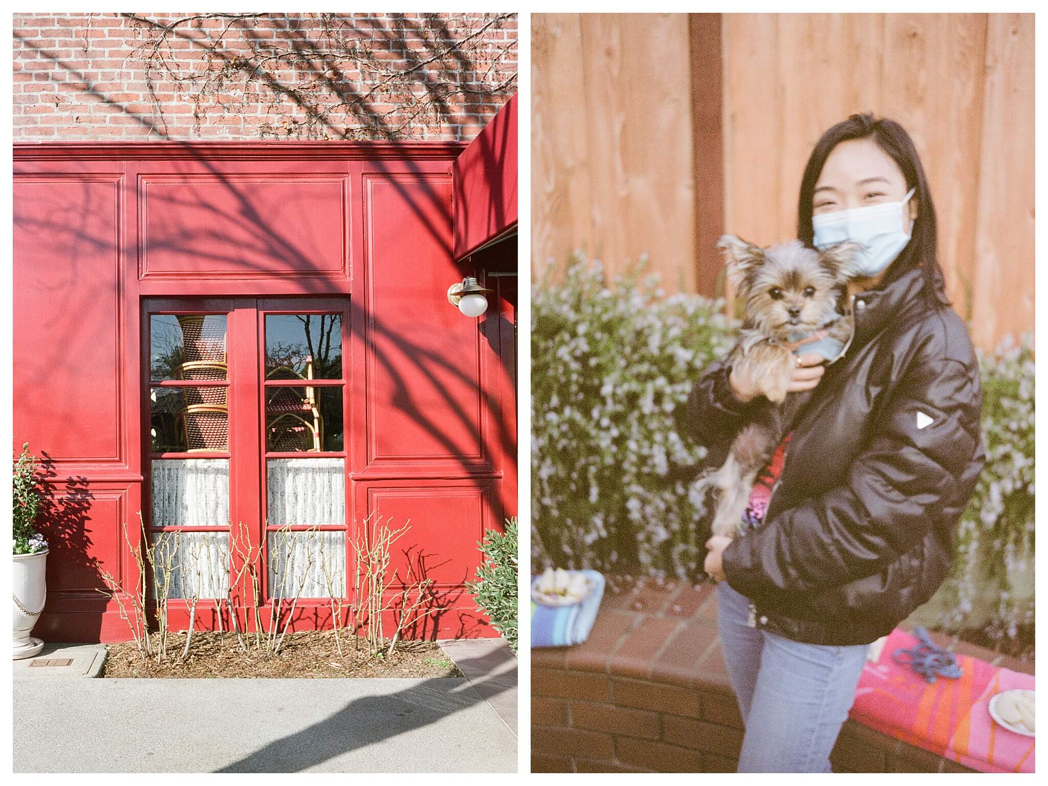 Left: The windows of the red facade of Bouchon Bistro in Yountville, California, show stacked bistro chairs and an empty restaurant in the wake of COVID. Right: A petite woman wearing a black puffer jacket and blue surgical mask smiles at the camera while holding up her dog, a shorkie.