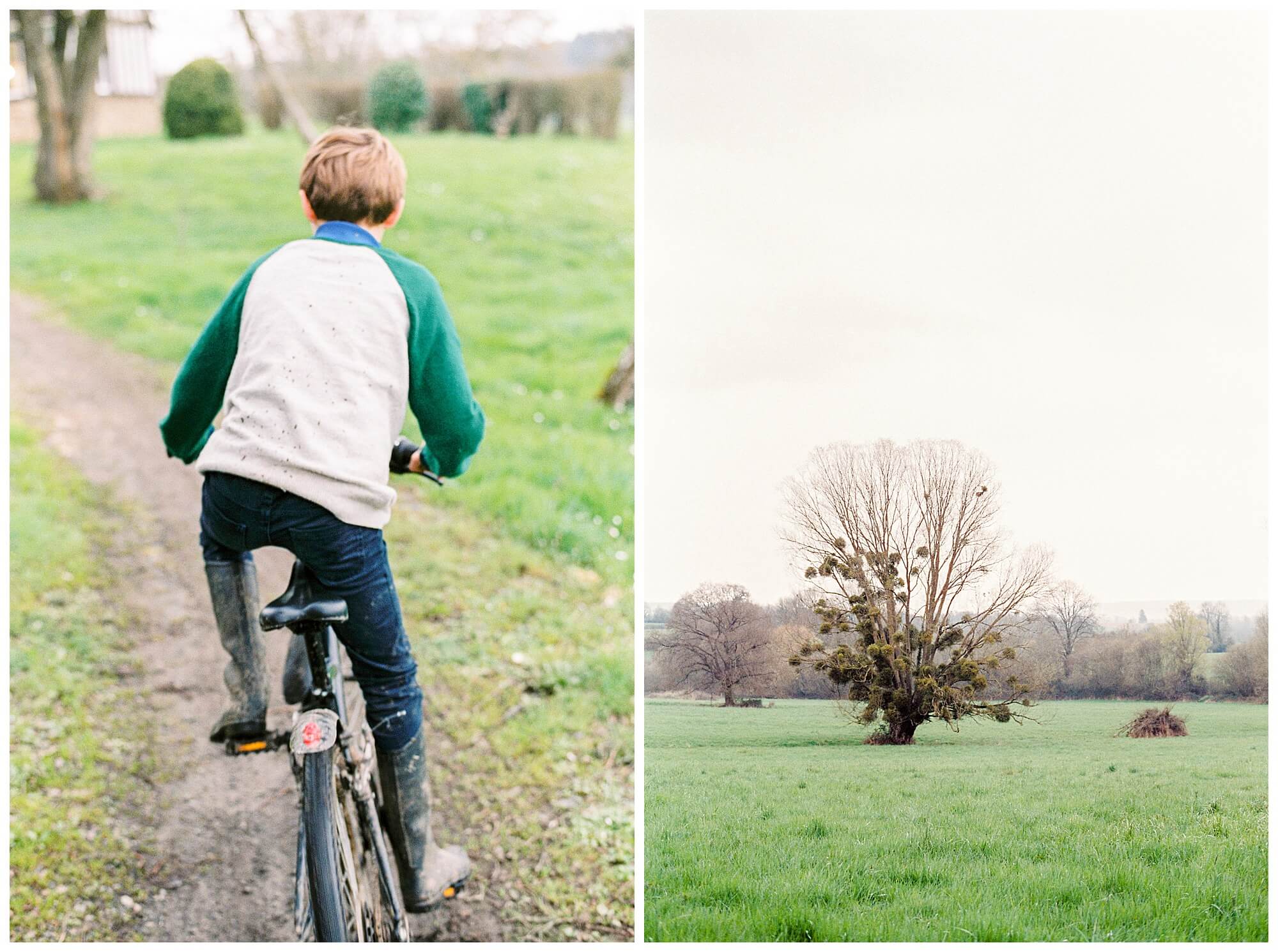 Left: A young French boy rides his bicycle down a dirt road in the countryside during the COVID 19 quarantine in France. Right: A bare willow tree stands overrun by mistletoe in a lush green field in the French countryside.