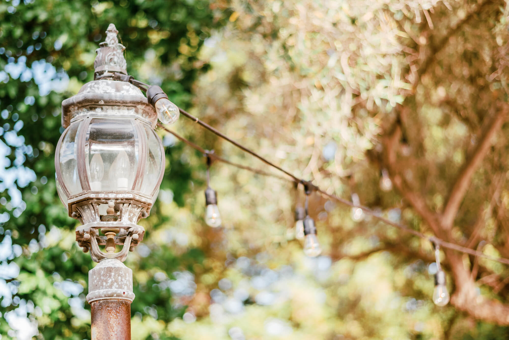 Spring lights are anchored to a European-style lamp in a backyard.