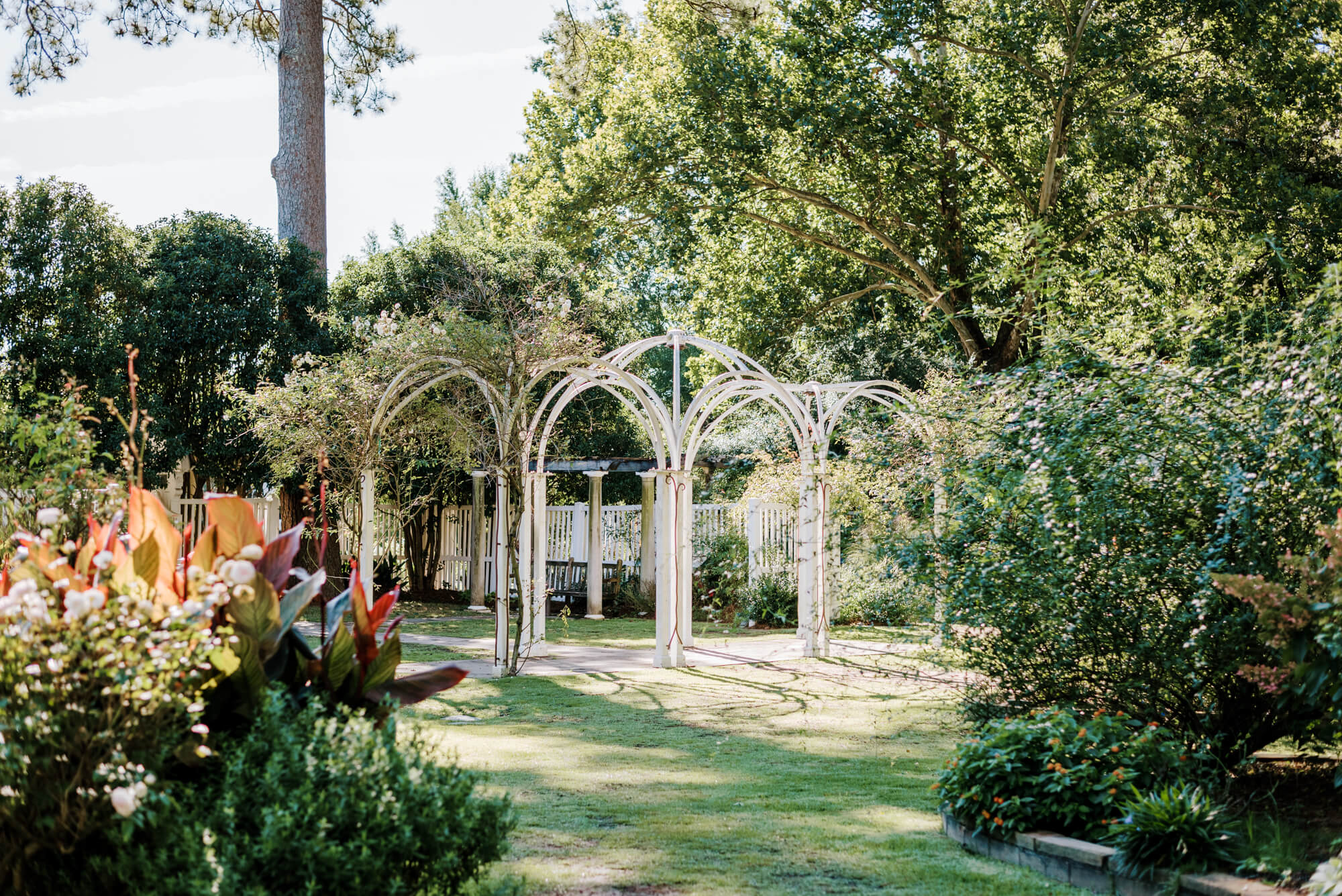 A simple white trellis at the Birmingham Botanical Gardens 