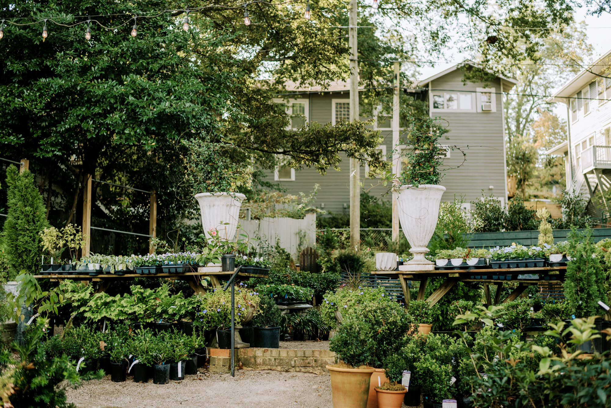 the plant garden behind the greenhouse at Shoppe Birmingham 