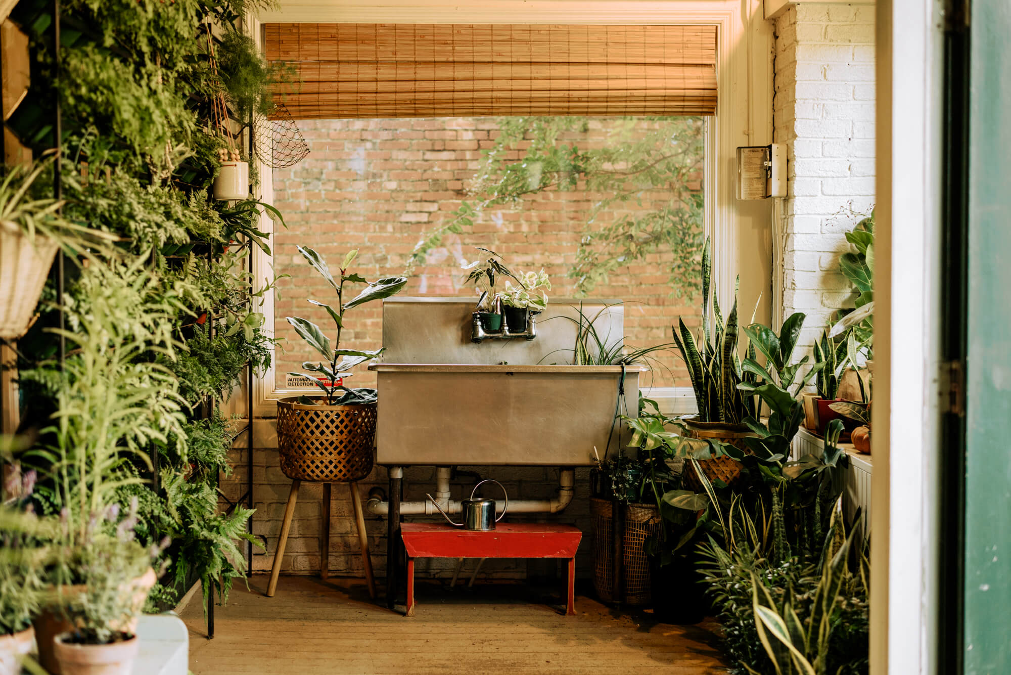 a large metal sink next to a wall of plants at Shoppe Birmingham 