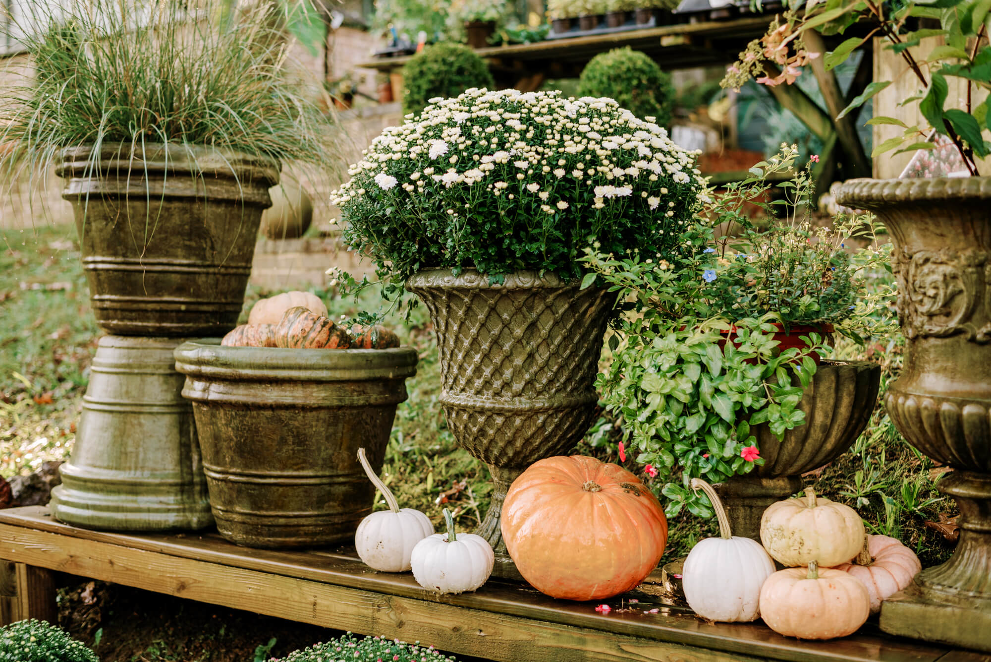 an array of planters and pumpkins at Shoppe Birmingham 