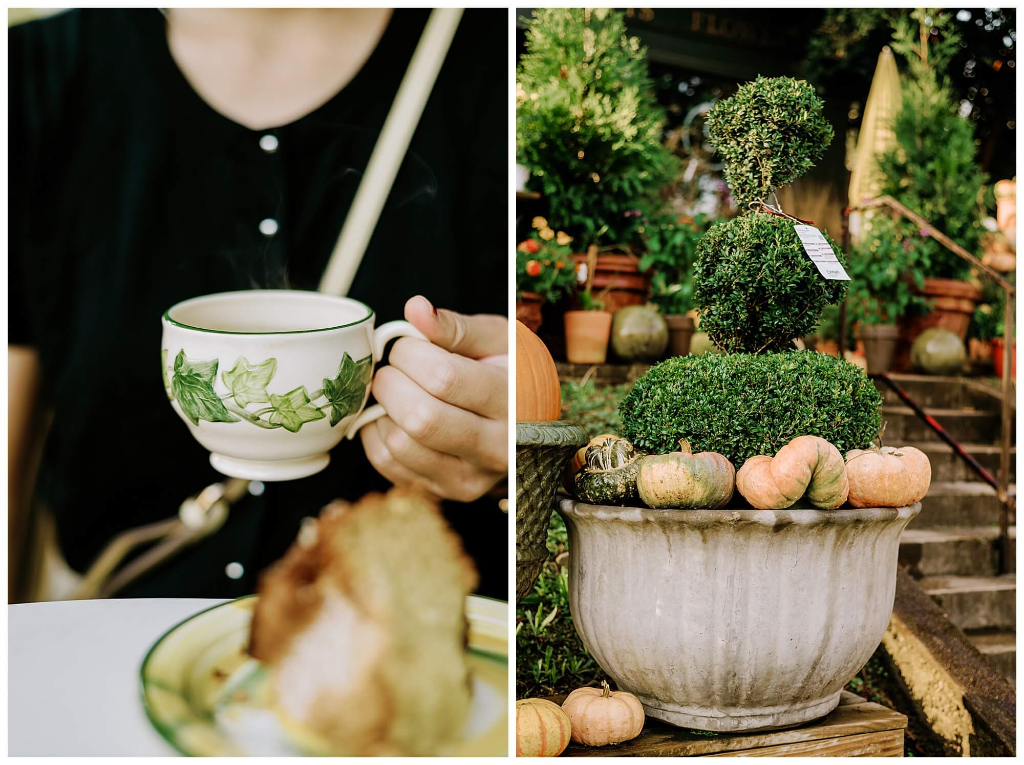 Left: teacup with green leaf decoration at General Birmingham right: planter with topiary and pumpkins at Shoppe General Birmingham